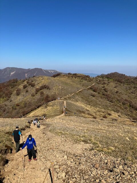 金山尾根コース